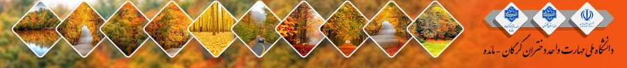 بنر سایت مائده 1404
