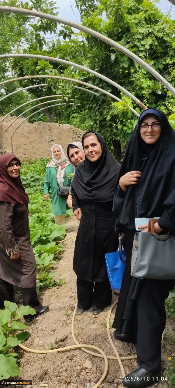 *برگزاری دورهمی کارکنان، اساتید هیئت علمی و بازنشستگان دانشگاه ملی مهارت دختران گرگان در خانه روستایی به مناسبت روز خانواده و تکریم بازنشستگان در روز چهارشنبه ۱۴۰۵٫۰۳٫۲۰
 2
